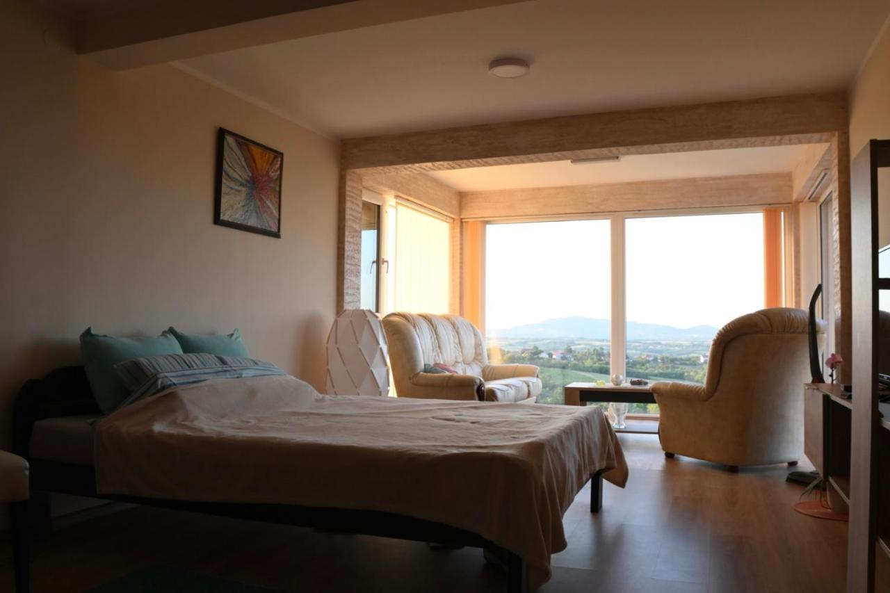 Vila Pogled 阿然德洛维克 外观 照片