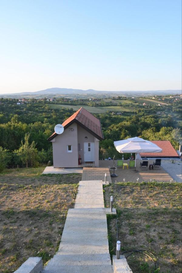 Vila Pogled 阿然德洛维克 外观 照片